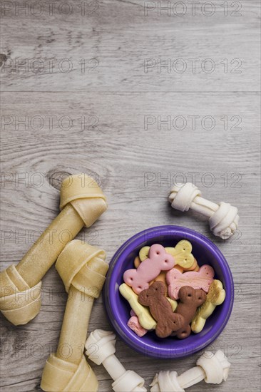 Bowl with dog snacks floor