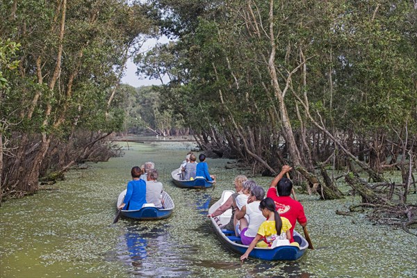 Tourists in small boats looking for wildlife in flooded mangrove in the Tra Su Cajuput Forest