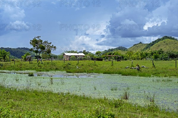 Small farm house on the savanna along the Linden-Lethem dirt road linking Lethem and Georgetown in the rainy season