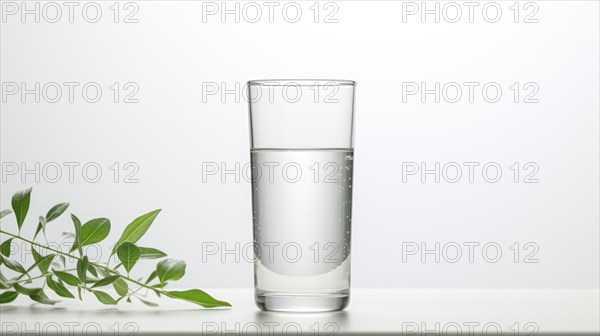 Glass of water on the table with green plant on white background Ai generated