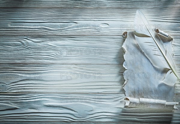 Ancient crumpled paper scroll plume on wooden board copy space