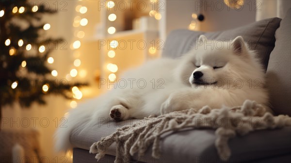 Cute Pomeranian dog on sofa in room decorated for Christmas Ai generated