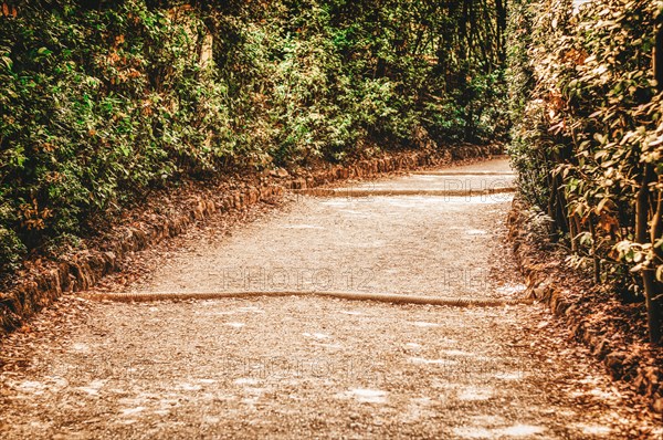 The road in the Boboli Gardens. Italy