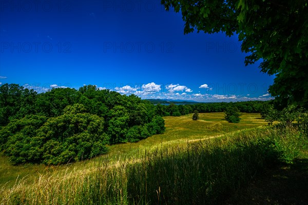 Vanderbilt Mansion National Historic Site