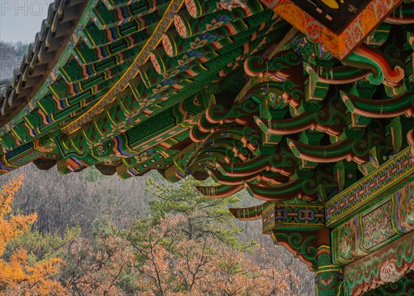 Corner roof of Buddhist temple building with beautiful green, yellow and red colors contrasting with fall colors of forest in background