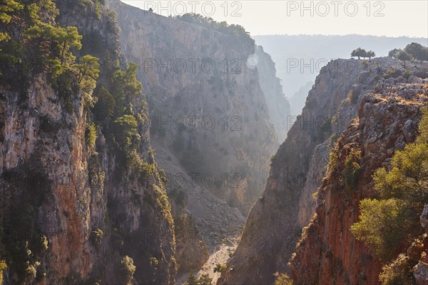 Deep view into a wooded gorge penetrated by gentle sunbeams, Aradena Gorge, Aradena, Sfakia, Crete, Greece, Europe