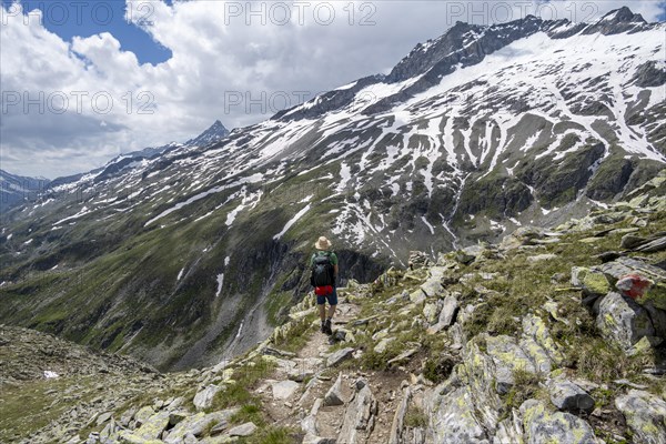 Mountaineer on rocky hiking trail, Berliner Hoehenweg, mountain landscape with snow-covered peak Gefrorene-Wand-Spitze, Zillertal Alps, Tyrol, Austria, Europe