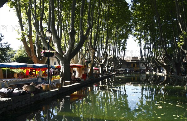 Market in Curcuron by the village pond, Luberon, Vaucluse, Provence, France, Europe