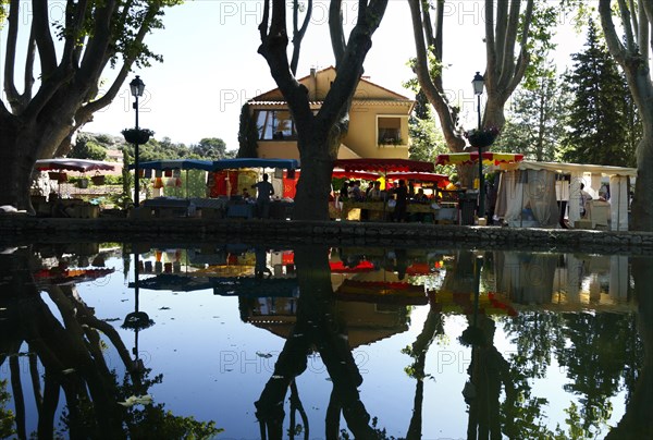 Market in Curcuron by the village pond, Luberon, Vaucluse, Provence, France, Europe