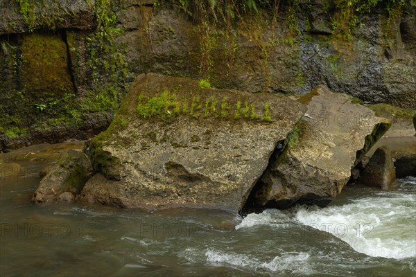 Uma Anyar waterfall, Bali island, Ubud, Indonesia. Jungle, tropical forest, daytime with cloudy sky