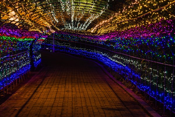 Night photo of tunnel made up of small red, blue, green and white Christmas lights in South Korea