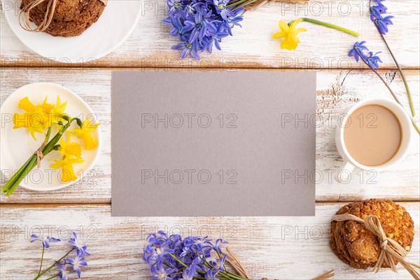Gray paper sheet with oatmeal cookies, spring snowdrop flowers bluebells, narcissus and cup of coffee on white wooden background. top view, flat lay, copy space, still life. Breakfast, morning, spring concept