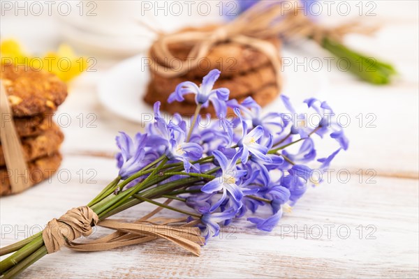 Oatmeal cookies with spring snowdrop flowers bluebells, narcissus and cup of coffee on white wooden background. side view, close up, defocused, still life. Breakfast, morning, spring concept