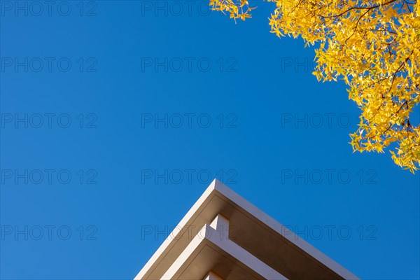 Corner Shape of a Modern Design Building Against Clear Blue Sky and Autumn Trees in a Sunny Day in Switzerland