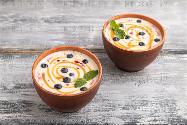 Yoghurt with bilberry and caramel in clay bowl on gray wooden background. side view, close up