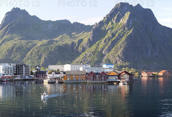 Harbour at Svolvaer, Lofoten Islands, Nordland, Norway, Europe