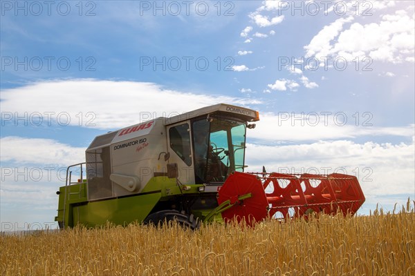 Grain harvest in the district of Bad Duerkheim (Rhineland-Palatinate)