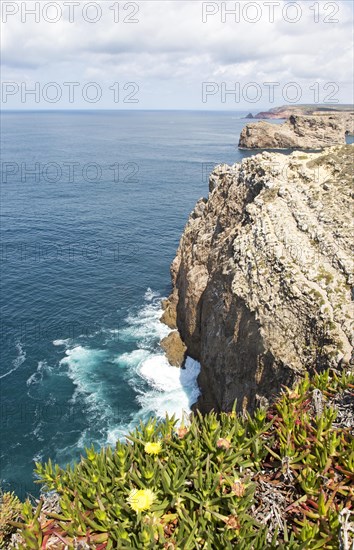 Sheer cliffs rise from Atlantic Ocean at Cabo de Sao Vicente, Cape St Vincent, Algarve, Portugal with wildflowers on the edge