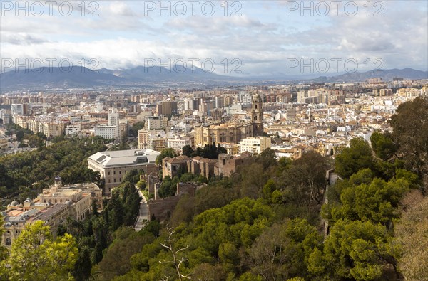 Cityscape view over city centre high density buildings, Malaga, Andalusia, Spain, cathedral church in centre, Europe