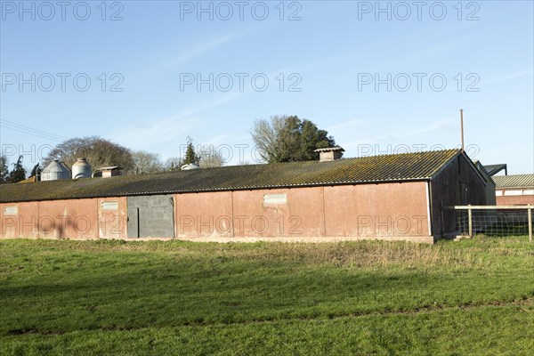 Exterior of indoor pig unit in farmyard at Sutton, Suffolk, England, UK