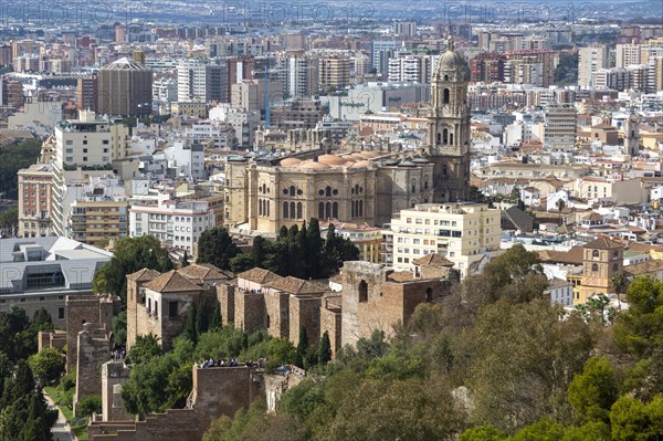 Cityscape view over city centre high density buildings, Malaga, Andalusia, Spain, cathedral church in centre, Europe