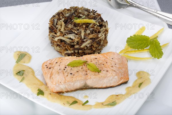 Southern German cuisine, fillet of Dreisam salmon with wild rice and lemon sauce, salmon fillet, healthy eating, decoration, lemon peel, herbs, lemon balm, food plate, fish cutlery, appetising, food, studio, fish dish, cooking, Germany, Europe