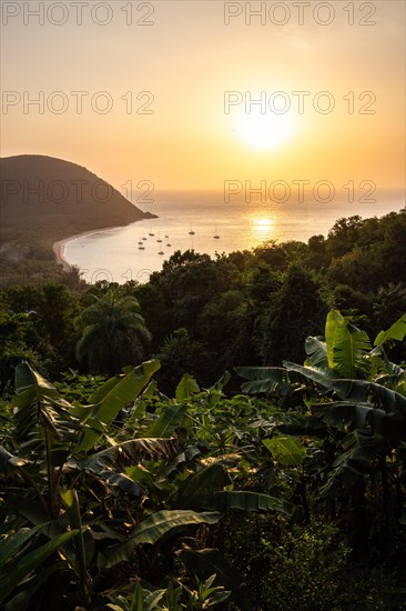 View from a mountain onto a secluded bay with a sandy beach and mangrove forest. The sun sets over the sea and boats float in the water. Grande Anse beach, Basse Terre, Guadeloupe, French Antilles, Caribbean, North America