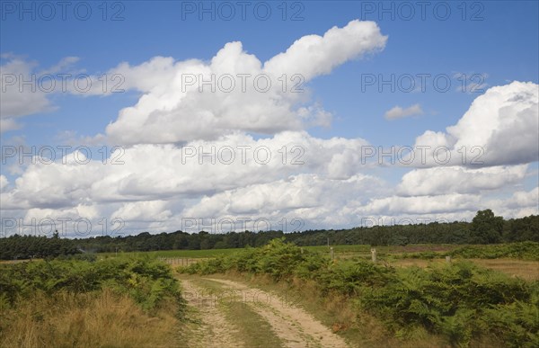 White fluffy cumulus clouds over countryside, Suffolk, England, United Kingdom, Europe