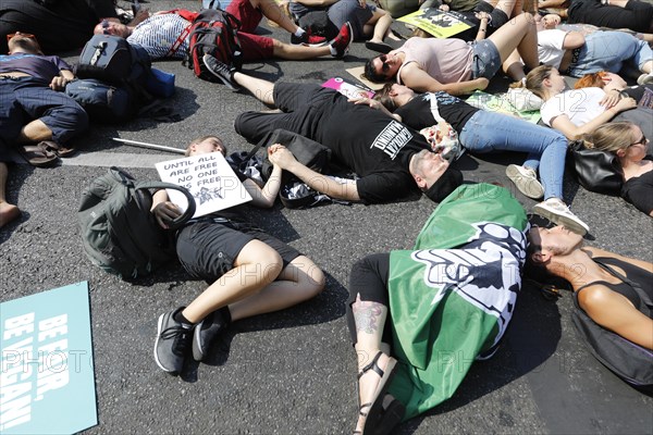 Mass die In, at the Official Animal Rights March demo at Rosenthaler Platz in Berlin. The Animal Rights March is a demonstration of the vegan community for animal protection and animal rights, 25 August 2019