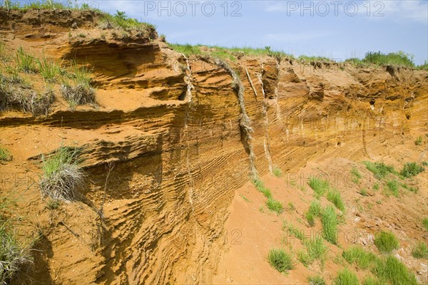 Red crag rock exposed at Buckanay Pit quarry, Alderton, Suffolk, England, United Kingdom, Europe