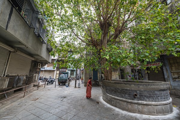 Old town of the Unesco site, Ahmedabad, Gujarat, India, Asia