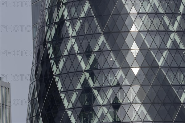 The Gherkin skyscraper building close up of window details with a Herring gull (Larus argentatus) bird flying past, City of London, England, United Kingdom, Europe