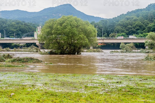 Swollen river and flooded areas with trees, under a cloudy sky, in South Korea