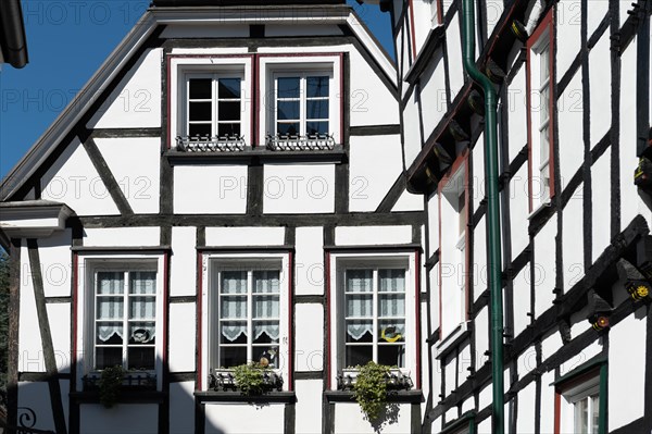 Detailed view of a half-timbered facade with flower-decorated windows and sunlight, old town centre, Hattingen, Ennepe-Ruhr district, Ruhr region, North Rhine-Westphalia