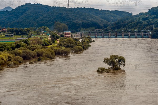 Flooded river near a hydroelectric dam with submerged trees and cloudy skies, in South Korea