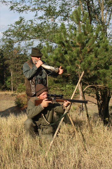 Hunter with rifle at the ready and hunting guide with stag call awaiting red deer (Cervus elaphus) during the rut, southern Hungary, Hungary, Europe