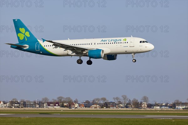 Aer Lingus Airbus A320-214 with registration EI-DEF approaching the Polderbaan, Amsterdam Schiphol Airport in Vijfhuizen, municipality of Haarlemmermeer, Noord-Holland, Netherlands