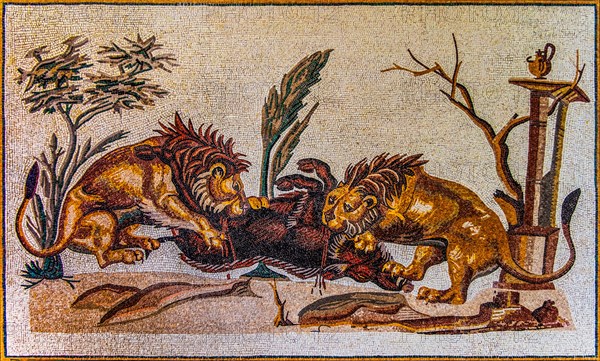 Lions attacking a wild boar, mosaic copy, Casa della Processione, El Jem, 2nd century, mosaic school producing mosaic masters, Spilimbergo, city of mosaic art, Friuli, Italy, Spilimbergo, Friuli, Italy, Europe