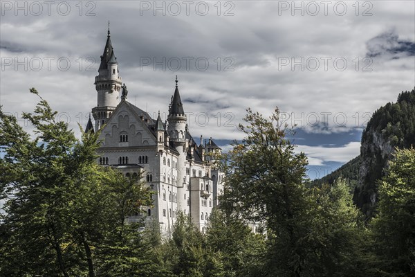 Neuschwanstein Castle, near Fuessen, Ostallgaeu, Allgaeu, Bavaria, Germany, Europe