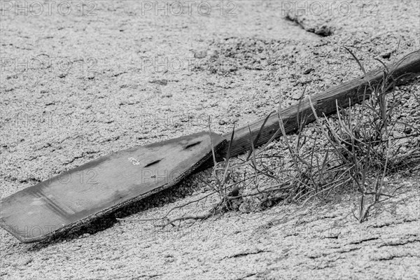 Blank and white of old discarded discarded wooden oar laying in sand next to dry grass in South Korea