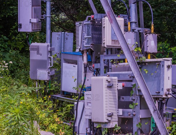 Cluster of telecom equipment and electrical enclosures amid greenery, in South Korea