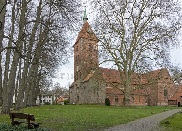 Alexanderkirche, Wildeshausen, Lower Saxony, Germany, Europe