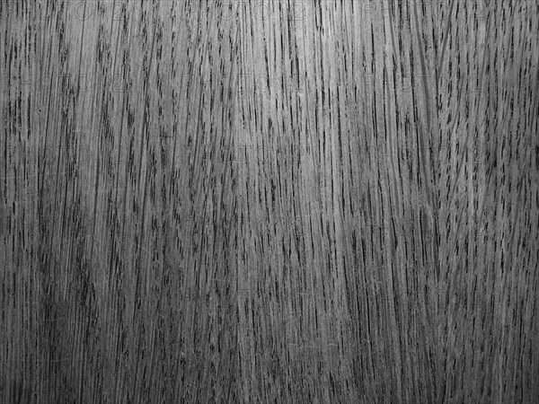 Wooden board as background, abstract structure, black and white, North Rhine-Westphalia, Germany, Europe