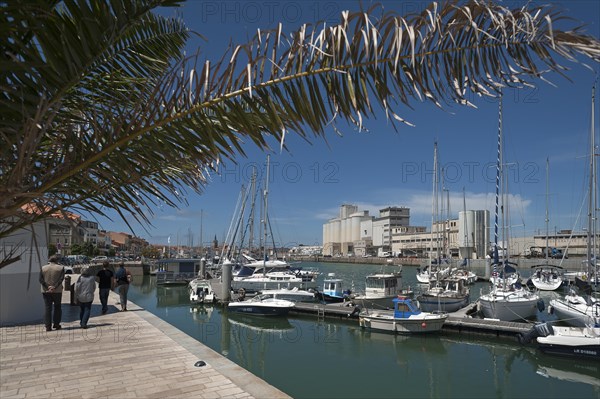 Harbour of Les Sables-d'Olonne, Vandee, France, Europe