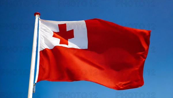 The flag of Tonga, fluttering in the wind, isolated, against the blue sky