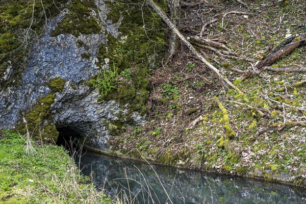 The Grosse Lauter disappears into the limestone, Grosses Lautertal near Lauterach, Munderkingen, Swabian Alb, Baden-Wuerttemberg, Germany, Europe