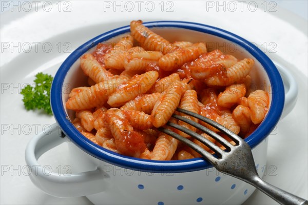 Malloreddus, Sardinian gnocchetti with tomato sauce in a bowl, traditional pasta variety from Sardinia, Italy, Europe