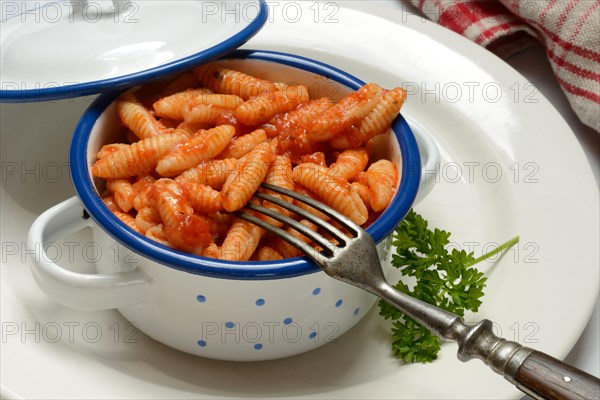 Malloreddus, Sardinian gnocchetti with tomato sauce in a bowl, traditional pasta variety from Sardinia, Italy, Europe