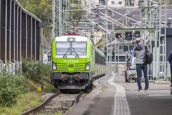 Flixtrain train at Stuttgart main station, track apron with arriving and departing trains, Stuttgart, Baden-Wuerttemberg, Germany, Europe