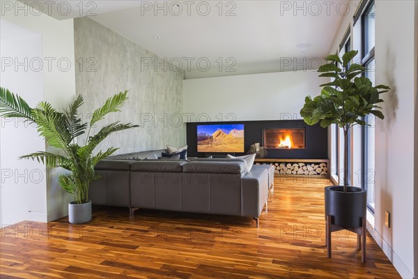 Grey leather L-shaped sectional sofa and wood-burning fireplace in living room with acacia wood flooring inside contemporary home, Quebec, Canada, North America